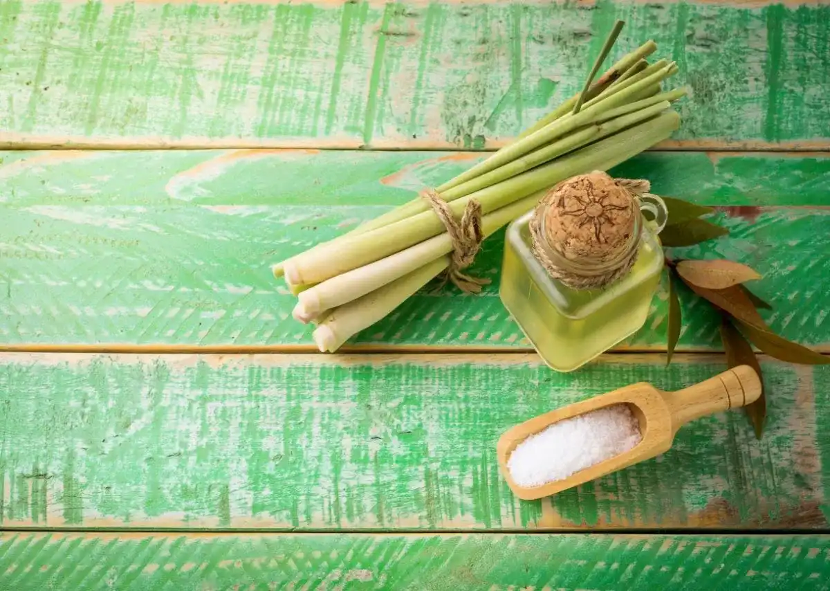 C&aacute;ch x&ocirc;ng nh&agrave; bằng thảo mộc hiện đại gi&uacute;p việc chuẩn bị nguy&ecirc;n liệu thuận tiện hơn.