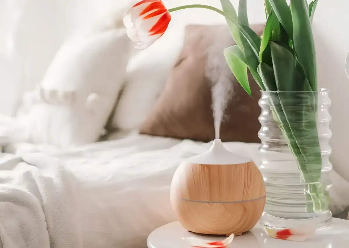 X&ocirc;ng nh&agrave; c&oacute; t&aacute;c dụng g&igrave;? Gi&uacute;p kh&ocirc;ng gian bớt b&iacute; b&aacute;ch v&agrave; dễ chịu hơn.