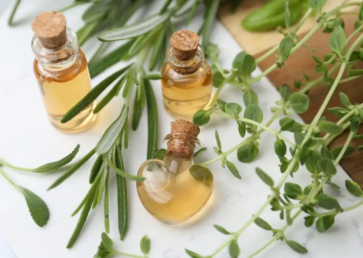 Thảo mộc tự nhi&ecirc;n được chuẩn bị để x&ocirc;ng nh&agrave; mới.